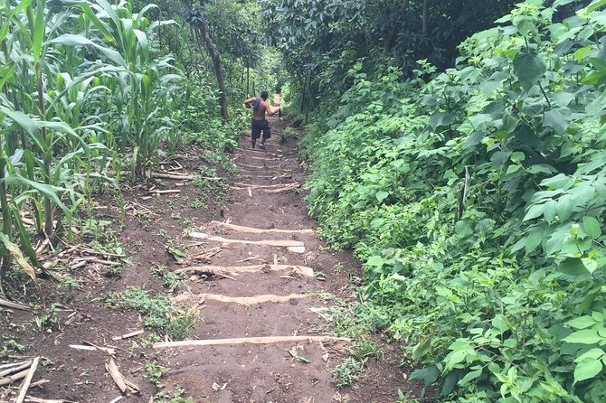 Indian Nose Peak and Lake Atitlan Sunrise Tour From Panajachel - Booking Requirements and Health Considerations