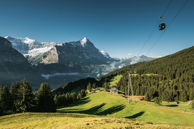 Interlaken and Grindelwald Day Trip From Lucerne - Evaluating Tour Quality and Management