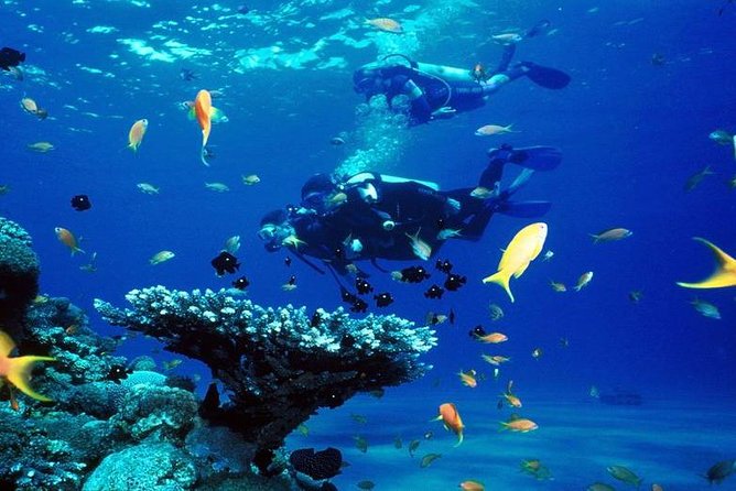 Intro Scuba Diving Beginners Full Day Boat Trip 2 Stops Diving & Lunch– Hurghada - Cancellation Policy