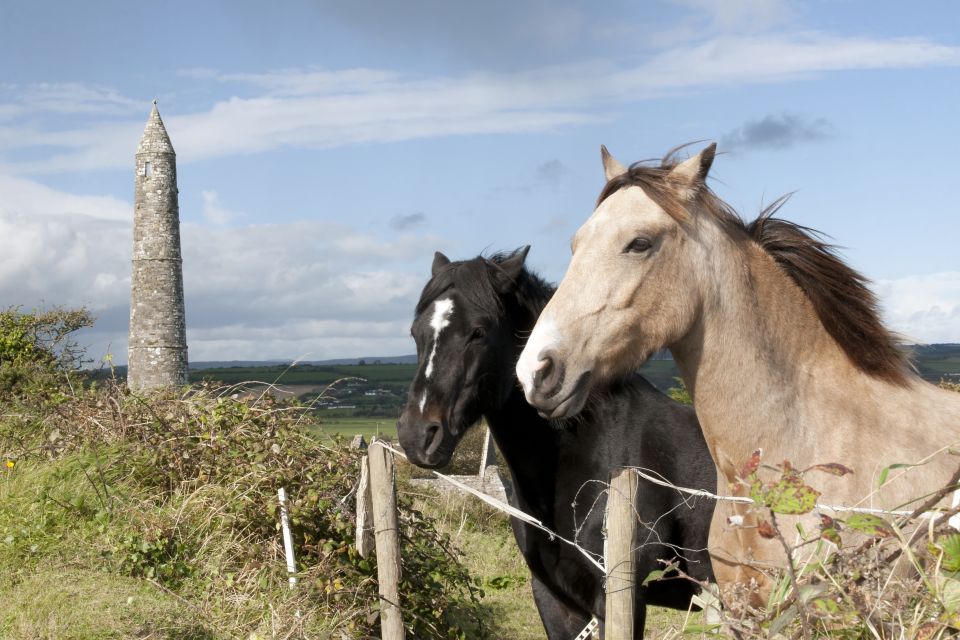 Ireland: Blarney Castle, Kilkenny & Irish Whiskey 3-Day Tour - Included Amenities and Services