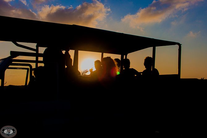 Isimangaliso Wetland Park, Full Day Tour - Scenic Picnic Lunch