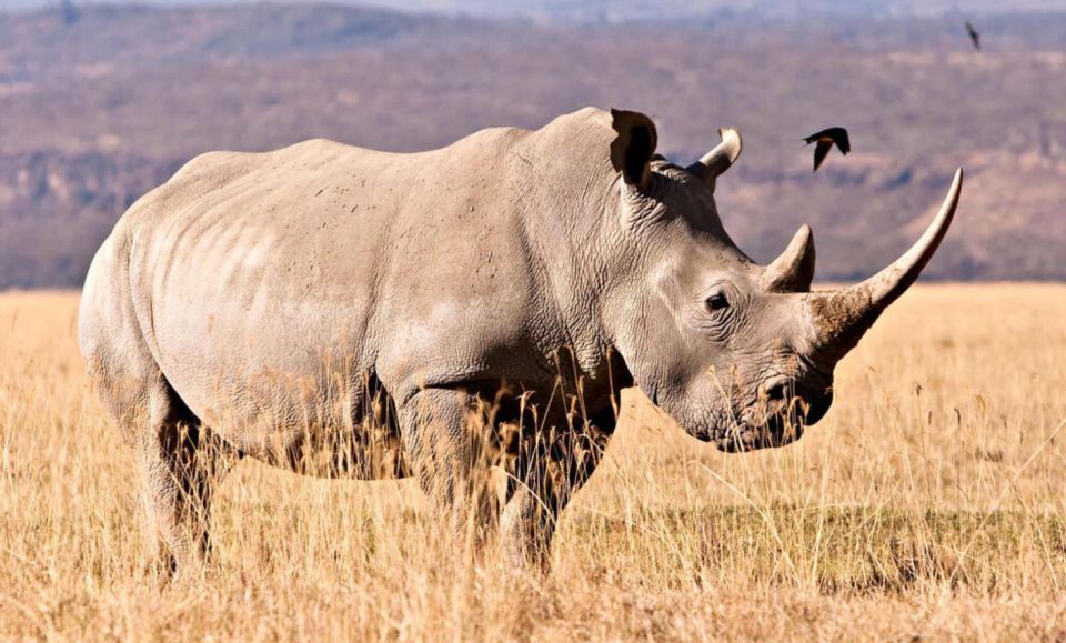 Isimangaliso Wetlands Park & Boat Cruise Tour From Durban - Why Visit Isimangaliso?