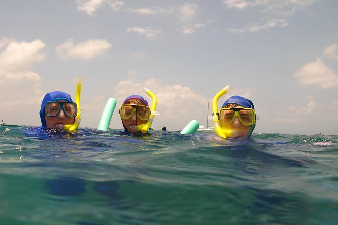 Islamorada: Snorkel Adventure & Sandbar Trip - Recommendations for Travelers