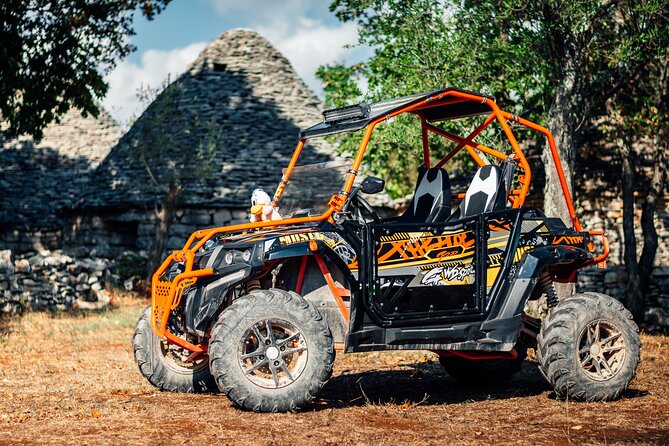 Istra Buggy Tours - Fazana - Meeting Information and Additional Details