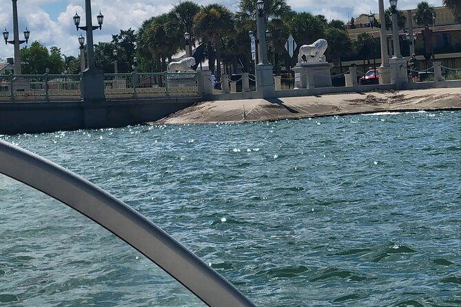 Jacksonville Private Boat Tour Daytime or Sunset, up to 6 People - Seeing Wildlife