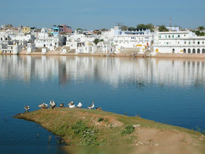 Jaipur (Pink City) With Pushkar Tour (03 Nights / 04 Days) - Important Information