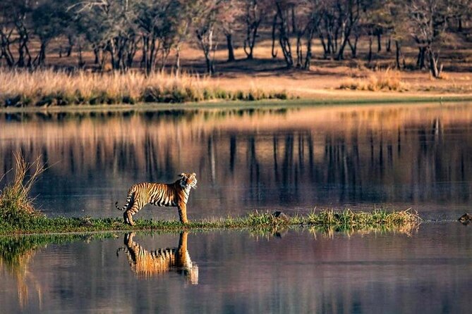 Jaipur to Ranthambore National Park Same Day Tour - Review Highlights