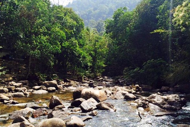 James Bond Island Sightseeing Tour by Longtail Boat From Phuket - Highlights of Suwan Khuha Temple