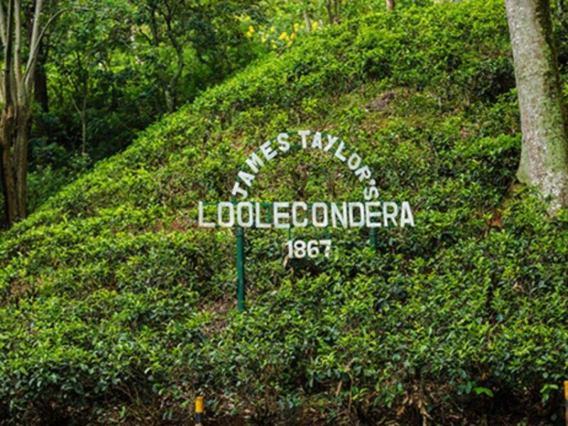 James Taylors Enchanting Tea Story Tour From Kandy - Frequently Asked Questions