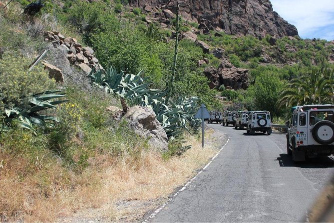 Jeep Tour 4x4 in Gran Canaria - Accessibility and Policies