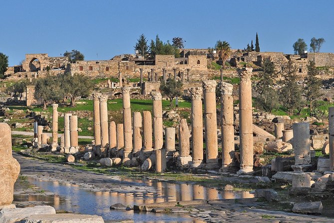 Jerash, Ajloun, and Umm Quais Full-Day Tour - Traveler Experiences