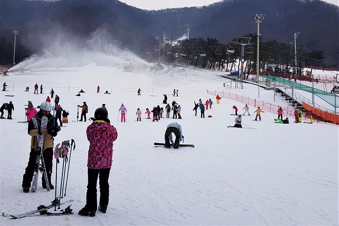 Jisan Ski Resort Serving Breakfast From Seoul (No Shopping) - Resort Amenities