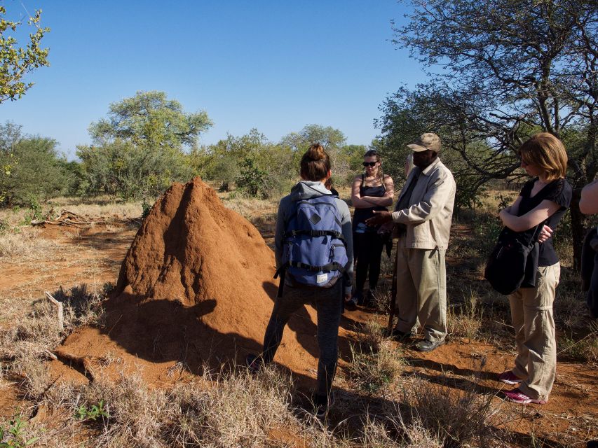 Johannesburg: 6-Day Luxury Kruger National Park Safari - Customer Feedback