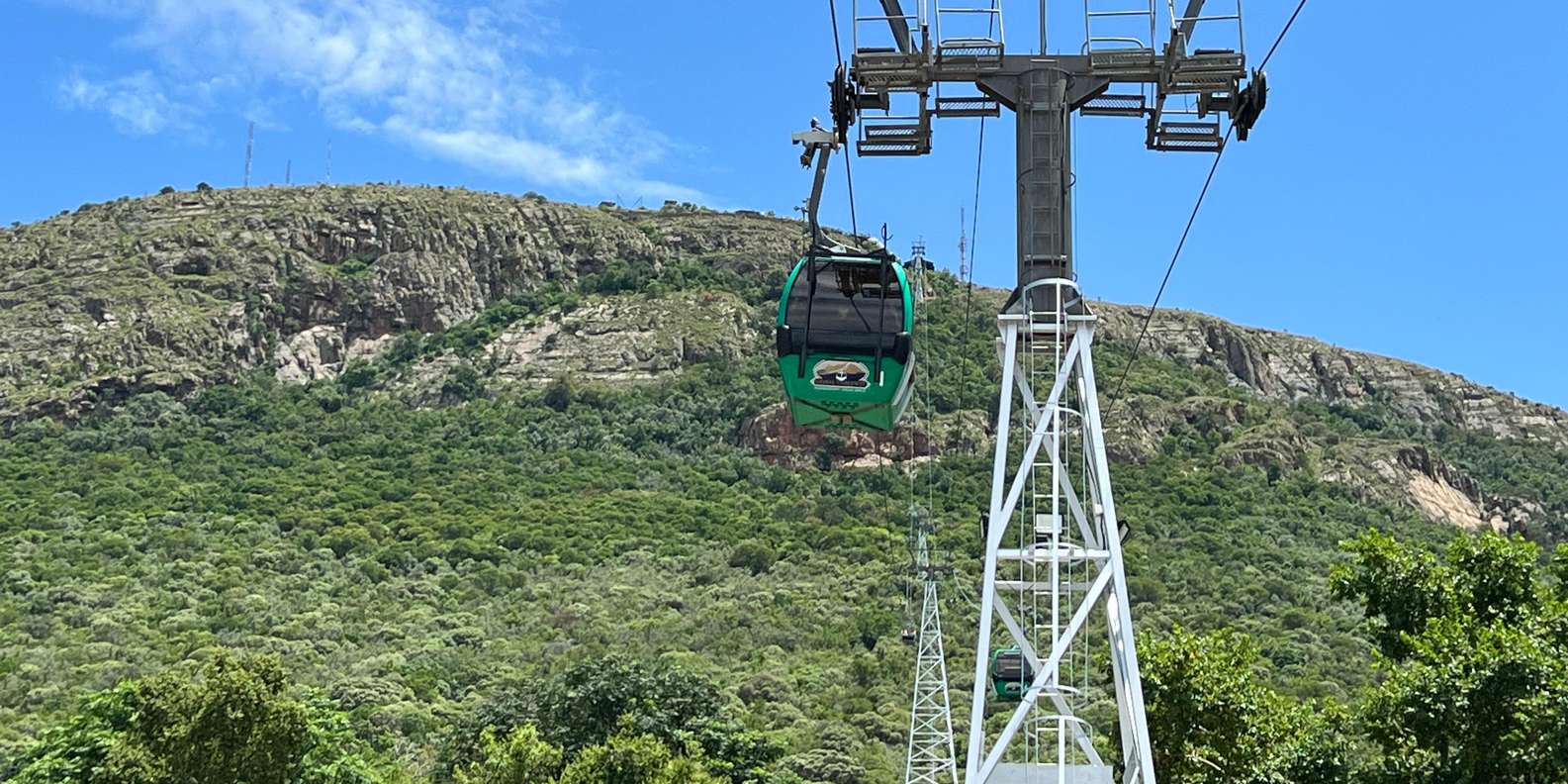 Johannesburg: Cableway and Lunch Boat Cruise Half Day Tour - Suitability Considerations