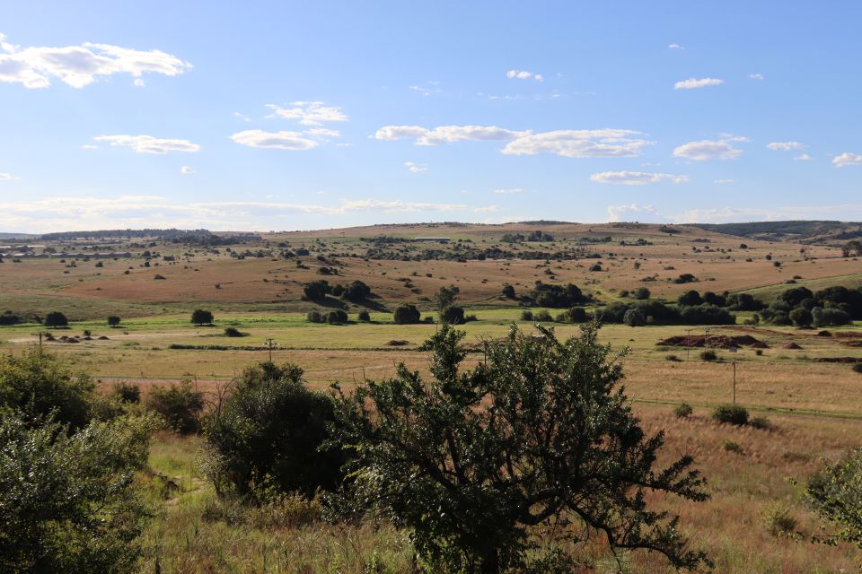 Johannesburg: Day Trip to Cradle of Humankind and Game Drive - Opportunity to See the Big Five