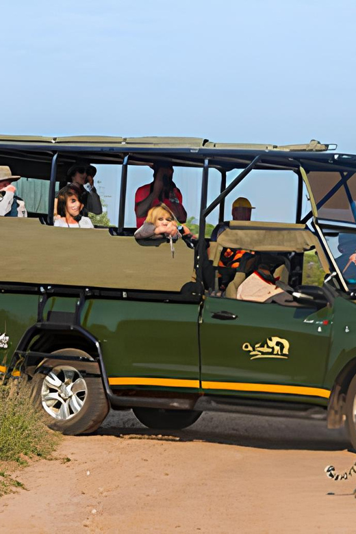 Journey Through Kruger - Game Drive Experiences