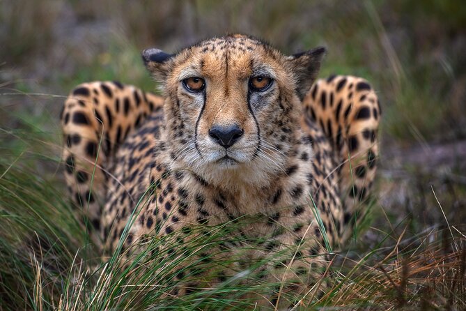 Jukani Wildlife Sanctuary Admission With Guided Tour - Visitor Recommendations