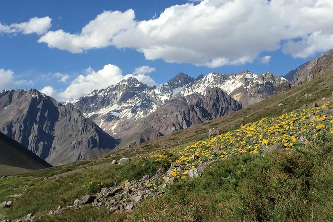 Juncal Andean Park: Hiking Over a Glacial Tongue - Traveler Testimonials