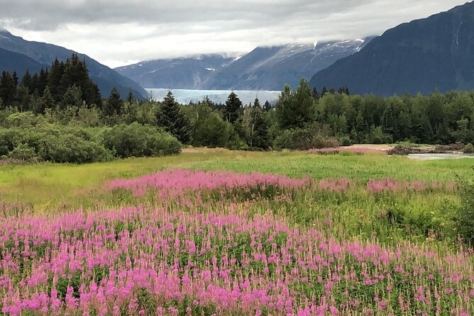 Juneau Private 3 Hour Scenic Road Trip - Pricing and Booking
