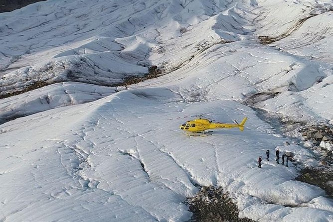 Juneau Shore Excursions: Helicopter Dogsledding Experience and Additional Glacier Landing - Important Restrictions