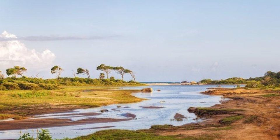 Jungle Trekking in Yala Buffer Zone From Hambantota Harbor - Meeting Information