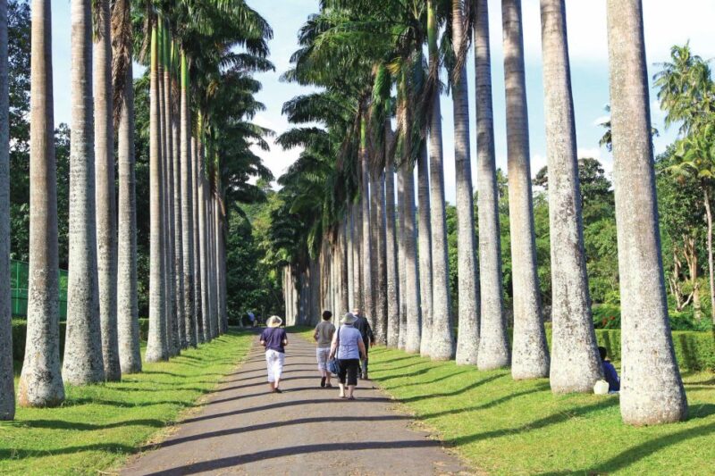 Kandy: Private Guided City Tours by Tuk Tuk Sightseeing Tour - Meeting Point and Availability