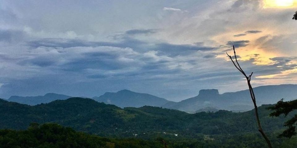 Kandy: the Last Kingdom Private Day Tour From Colombo Harbor - Tea Factory Tour