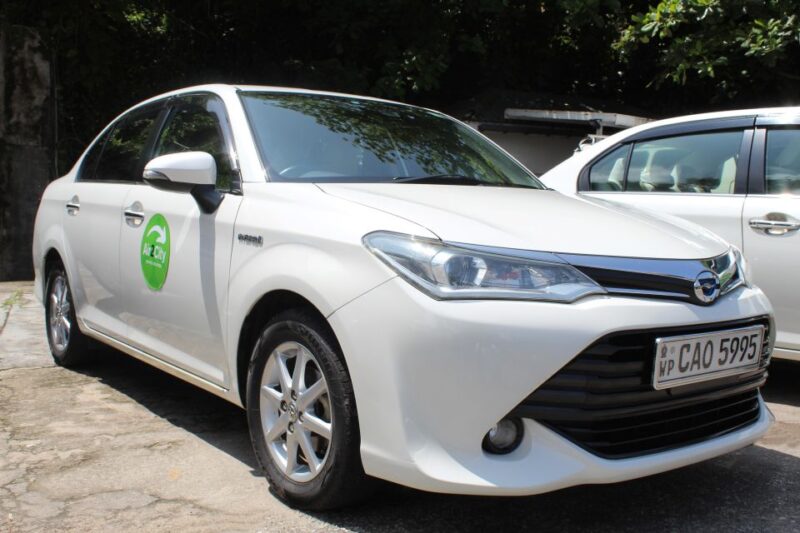 Kandy To/From Nuwara Eliya Private Transfer - Starting Times