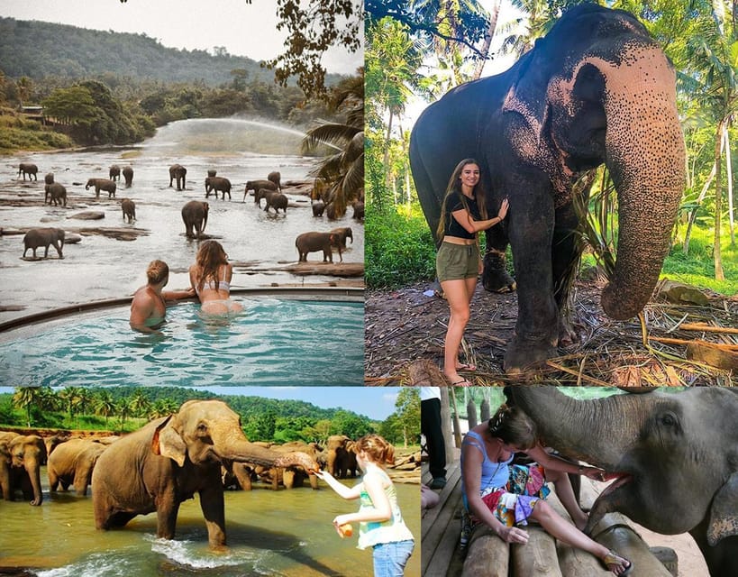 Kandy To Pinnawala Elephant Orphanage Private Tour - Frequently Asked Questions