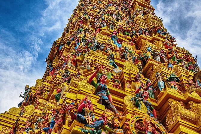 Kandy to Sigiriya and Dambulla Private Day Tour - Customer Experiences
