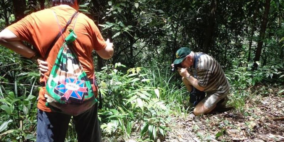 Kanneliya Forest Discovery: Guided Nature Expedition - Participant Information