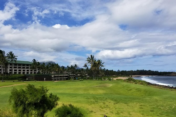 Kauai Island - Private Tour : Waimea Canyon and Southside - Things To Known