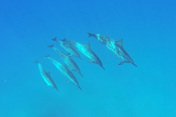 Kauai Sea Kayaking 10 Mile Tour - Na Pali Iki (Polihale to Milolii) - Booking and Cancellation Policy