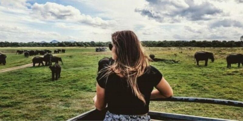 Kaudulla National Park: Afternoon Game Drive - Participation Requirements
