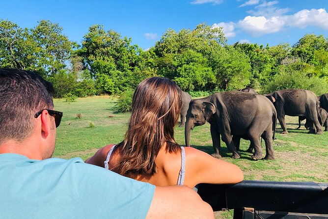 Kaudulla National Park Half Day Private Safari in Sri Lanka - Accessibility and Participation