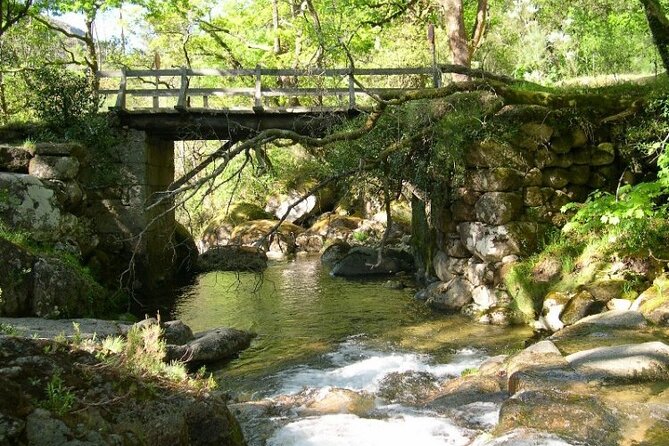 Kayak Experience & Gerês Tour, From Porto - Pickup and Drop-off