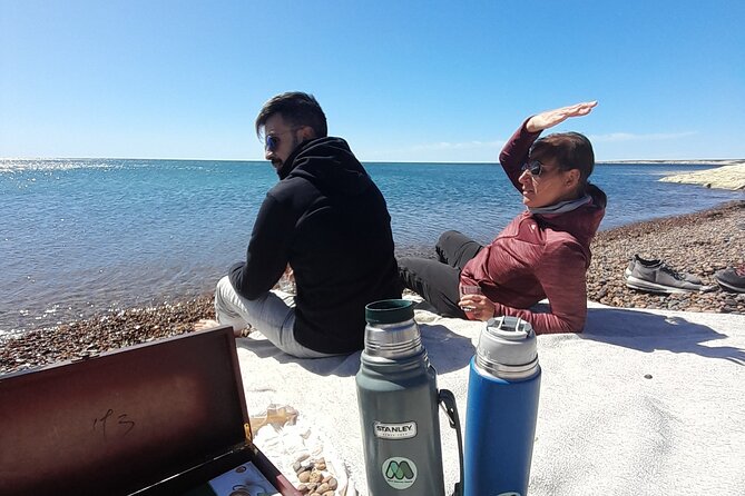 Kayak Paddling Experience With Sea Lions in Puerto Madryn - Minimum Age and Fitness