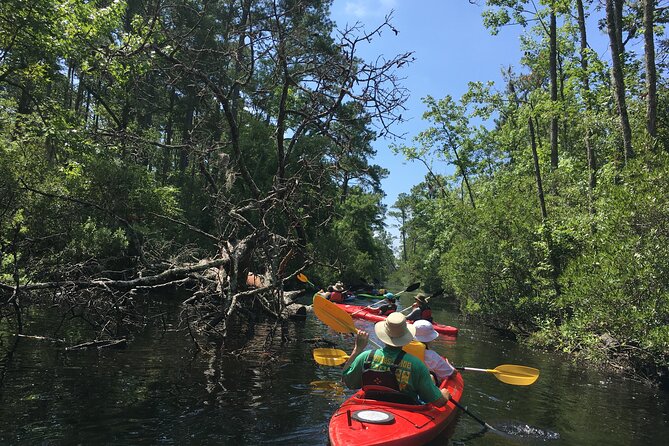 Kayak Rental on the Outer Banks - Unique Features