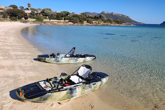 Kayak Tour in Golfo Aranci With Aperitif and Dolphin Watching - Booking and Cancellation Details