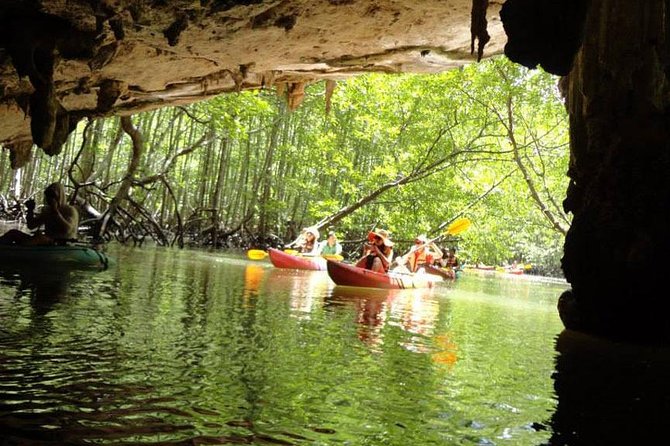 Kayaking at Ao Thalane Krabi - Wildlife and Ecosystem Education