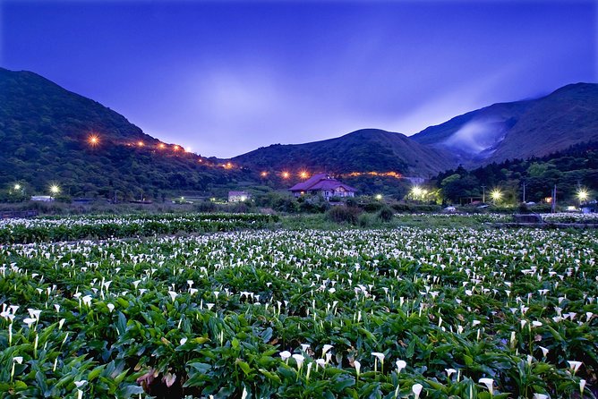 Keelung Shore Excursion: Yangmingshan Hot Spring and Wild Vegetable Cuisine Tour - Wild Vegetable Cuisine Experience