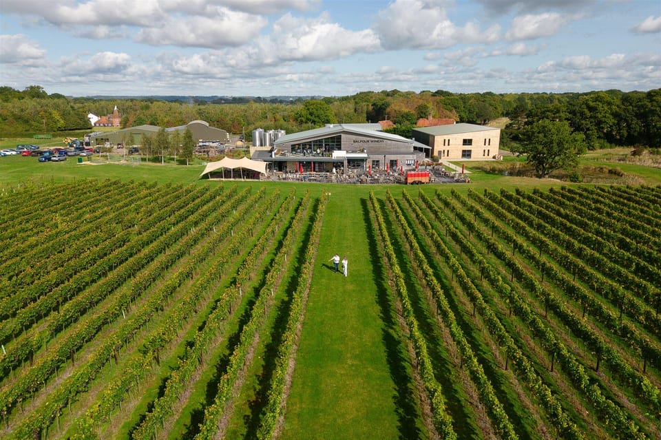 Kent: Balfour Vineyard Walk and Wine Tasting - Exploring Ancient Woodlands