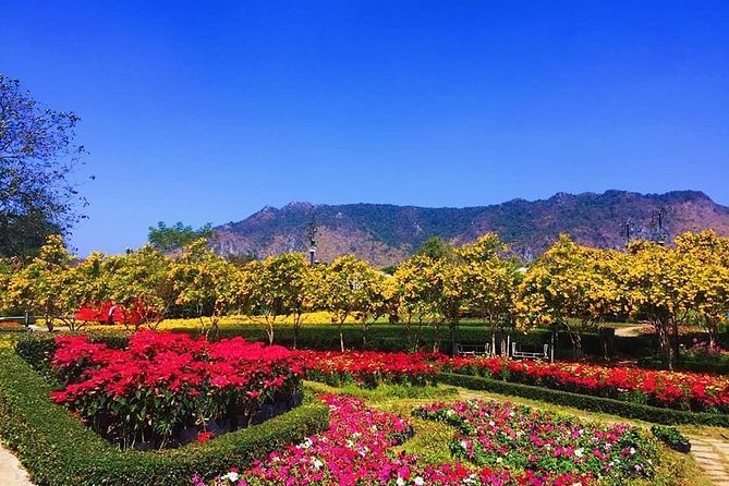 Khao Yai National Park Day Tour From Bangkok - Pricing and Cancellation Terms