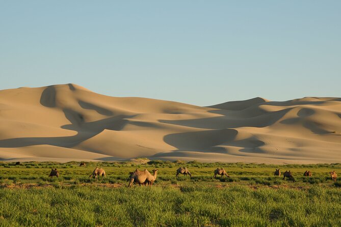 Kharkhorum, Khustai, Mini Gobi & Ger Under the Stars: 3-Day Tour - Accommodation Details