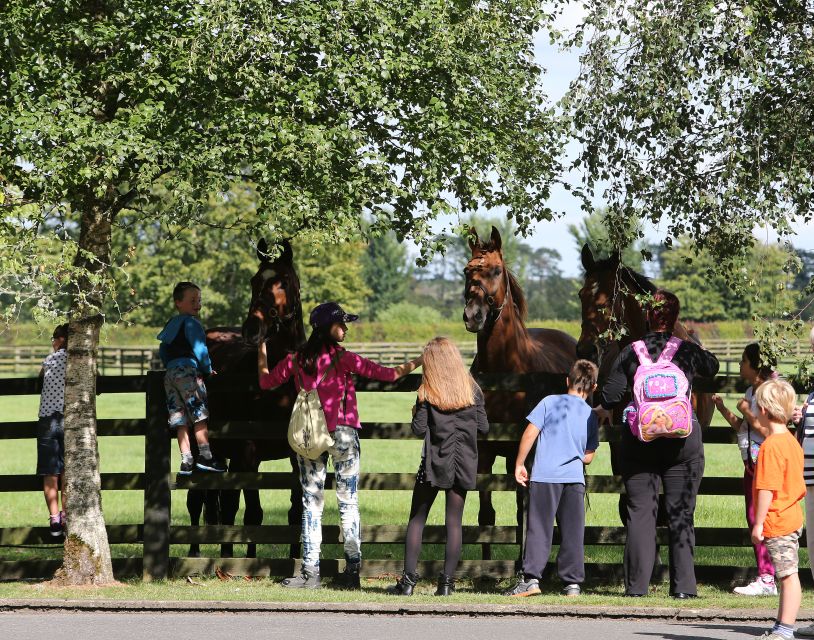 Kildare: Irish National Stud & Gardens - Visitor Information