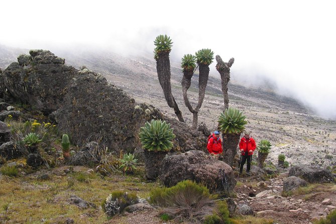 Kilimanjaro Climb • Lemosho Route ~ 12 Day - Cancellation and Refund Policy