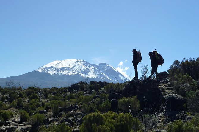 Kilimanjaro Climb • Signature Machame Route ~ 10-Day - Pre and Post-Climb Accommodations