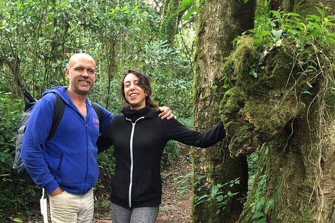 Kilimanjaro Day Hike - Health and Safety Guidelines