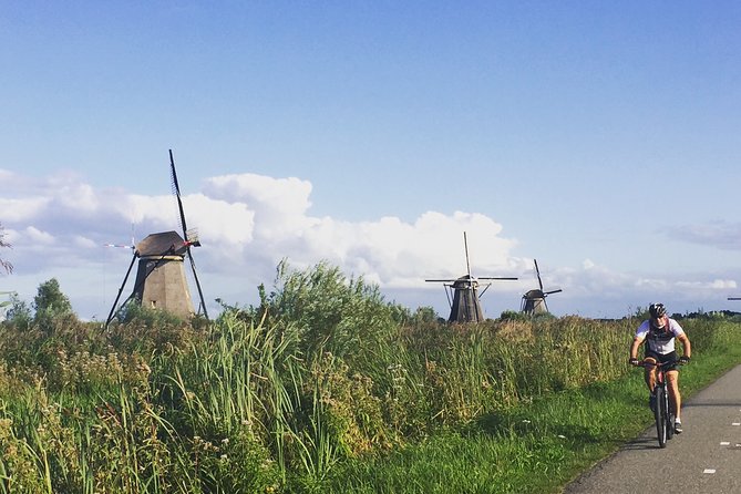 Kinderdijk Area Cycling Tour - Traveler Reviews and Feedback
