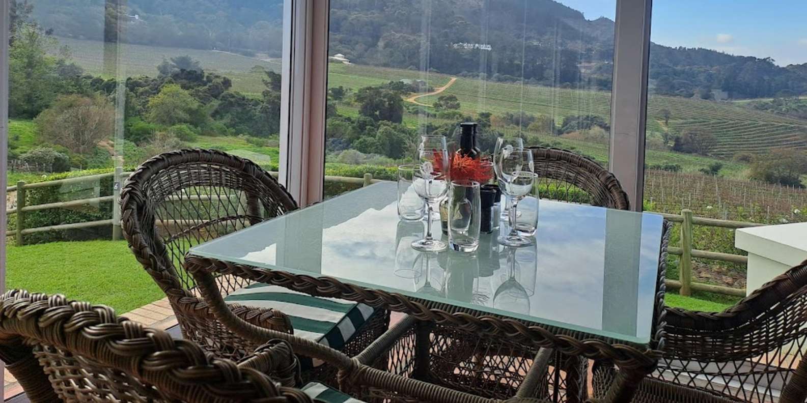 Kirstenbosch Botanical Garden and Constantia Wine Region - Highlights and Experiences